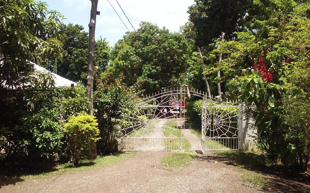 Shades Cottage Guesthouse Blue Hole エクステリア 写真