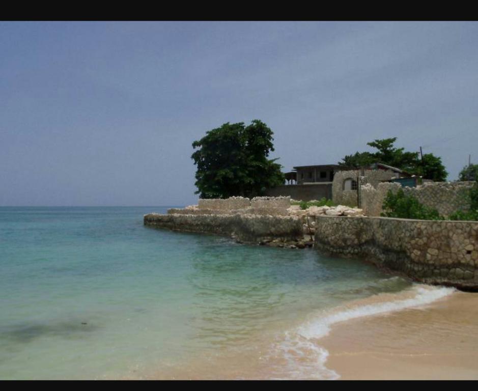 Shades Cottage Guesthouse Blue Hole エクステリア 写真