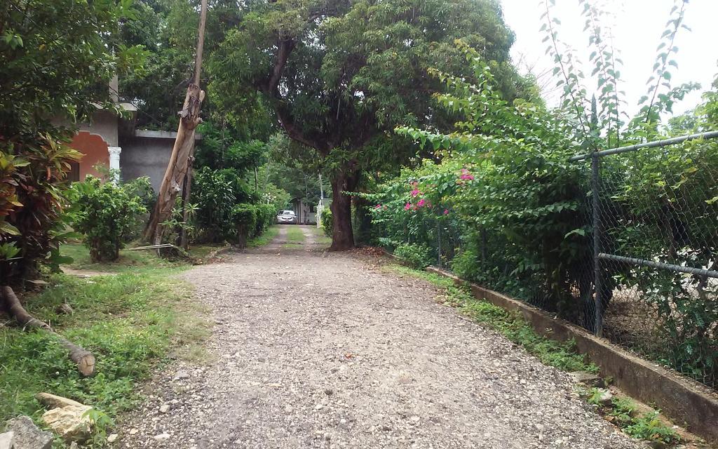 Shades Cottage Guesthouse Blue Hole エクステリア 写真